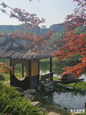 【冬季城市風(fēng)光】浣花溪