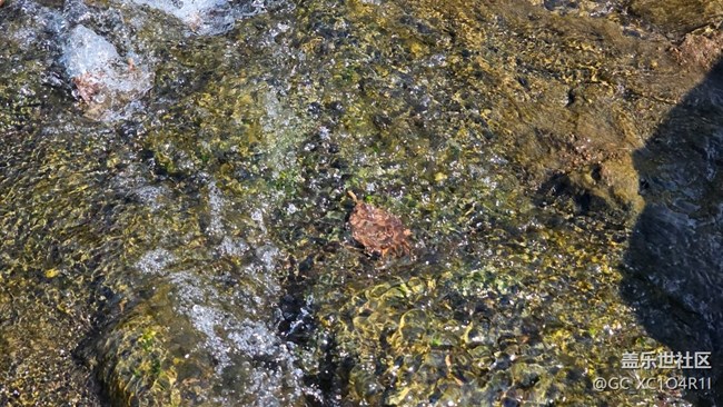 【新冬可期】新冬有流水