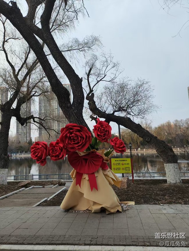 南湖公園攝影回顧貼