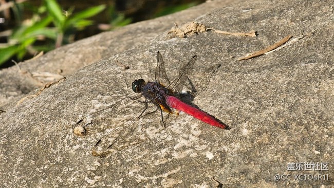 【新冬可期】新冬有流水