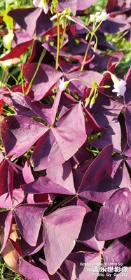 【冬季城市風(fēng)光】+隨拍