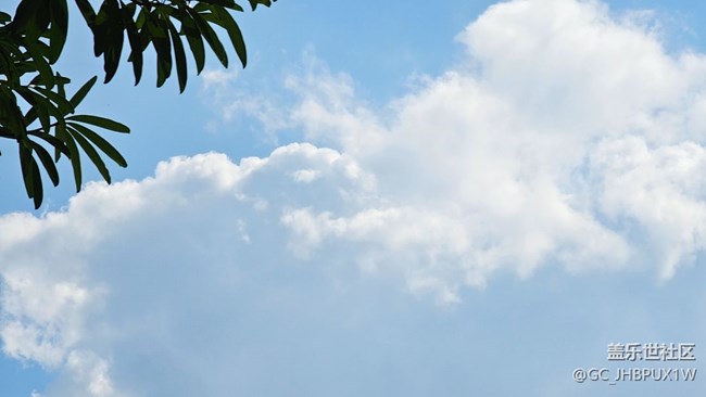 【新冬可期】冬日蘆葦