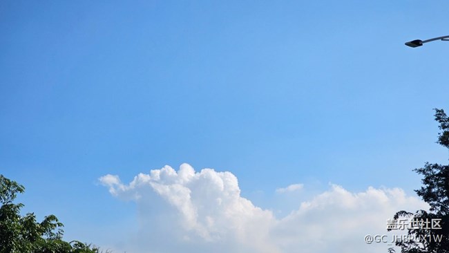 【新冬可期】冬日蘆葦