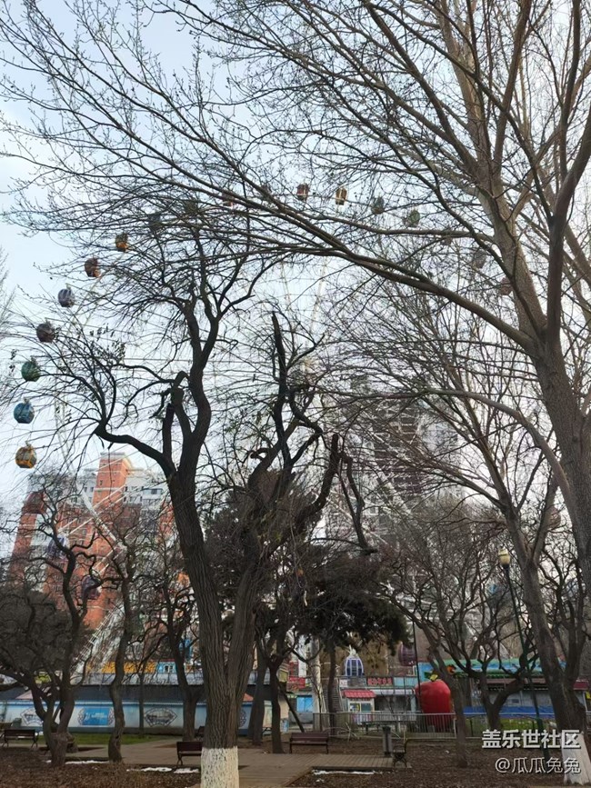 南湖公園攝影回顧貼