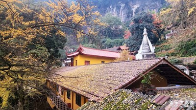 【冬季城市風光】+?成都大邑白巖寺看銀杏