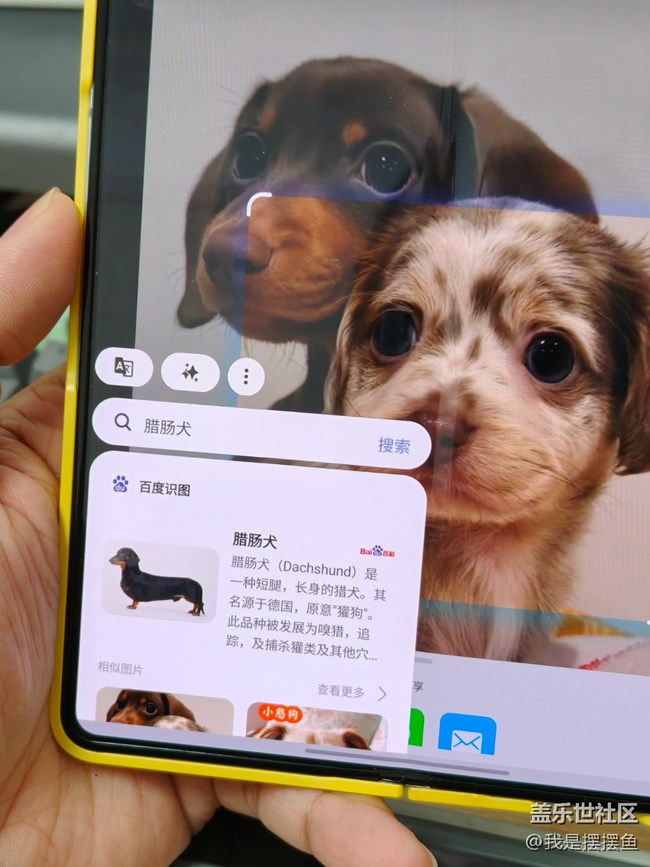 三星手機的即圈即搜功能隱藏得太深了，很多人還不知道吧？