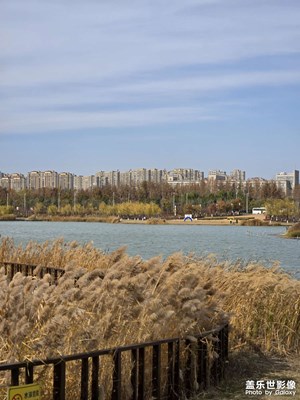 【冬季城市風(fēng)光】+沁泉湖公園