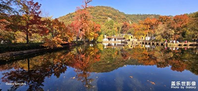 江南杏銀楓紅最當(dāng)時(shí)