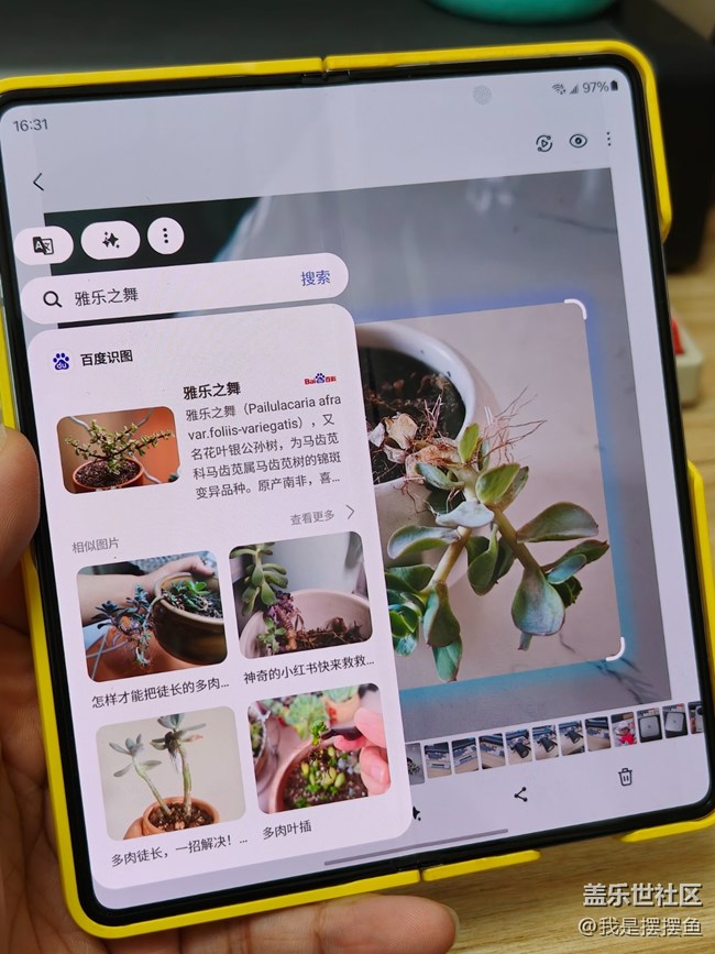 三星手機的即圈即搜功能隱藏得太深了，很多人還不知道吧？