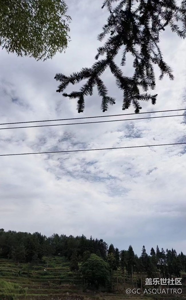 【2024再見】插秧的快樂