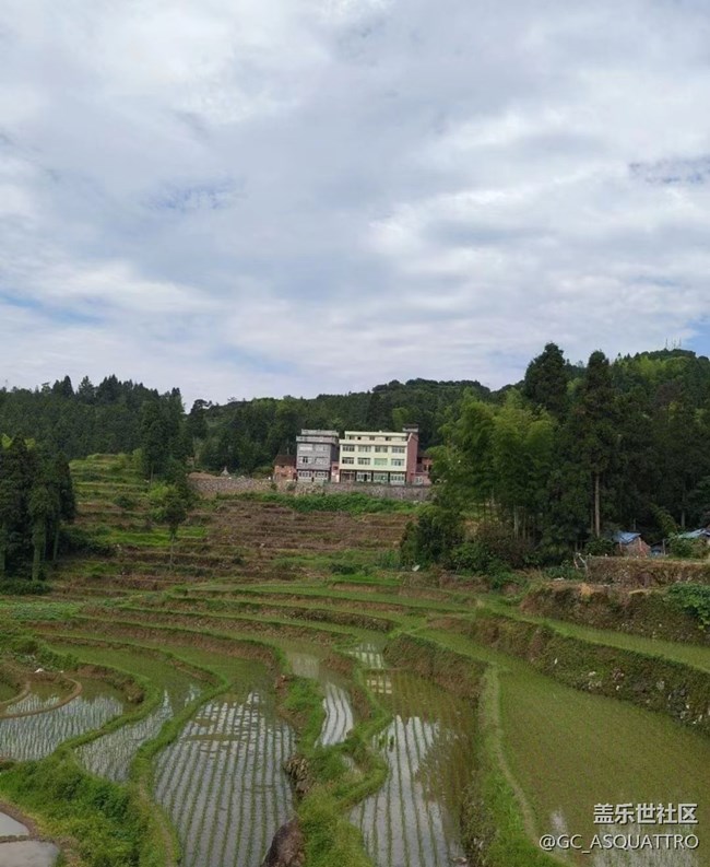 【2024再見】插秧的快樂