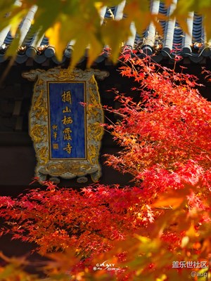 Galaxy S23 Ultra  棲霞秋景