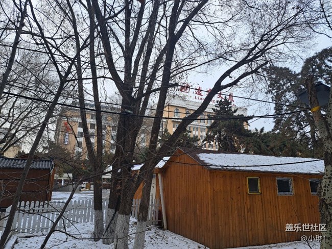 【瑞雪紛飛】雪后