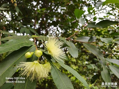 升級(jí)最新6.1后拍的照片