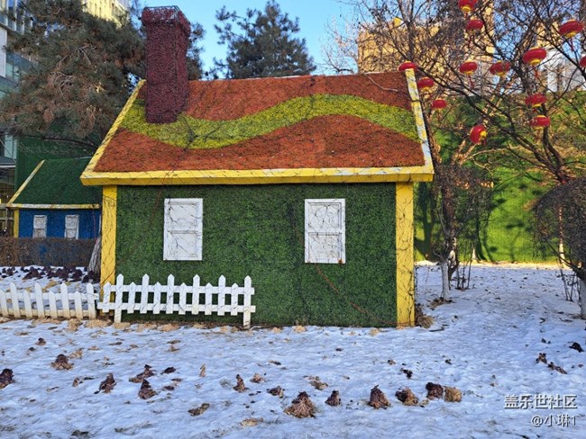 【瑞雪紛飛】雪后