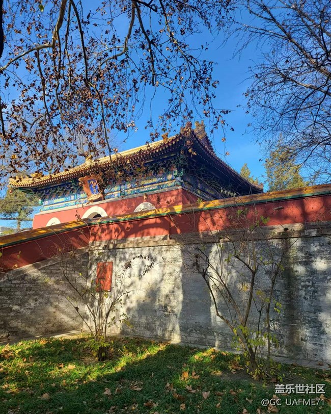 2024-12-03 人與機(jī)老當(dāng)益壯，公園健步走。