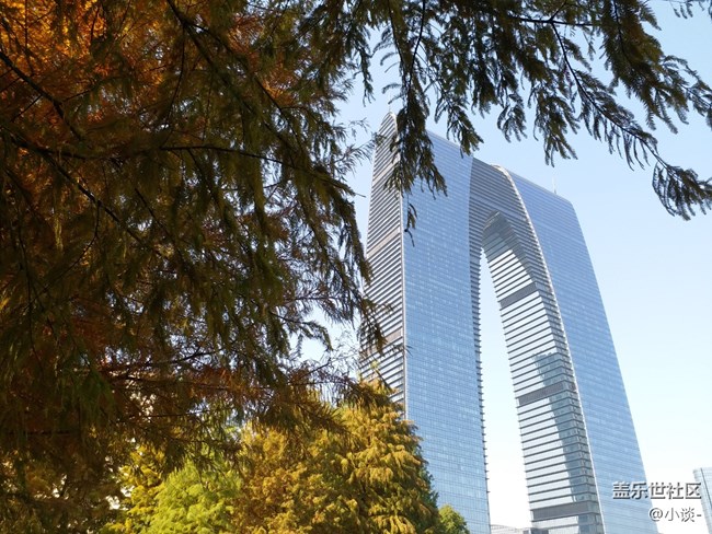 12.1 蘇州星部落 賞秋品鑒活動(dòng)