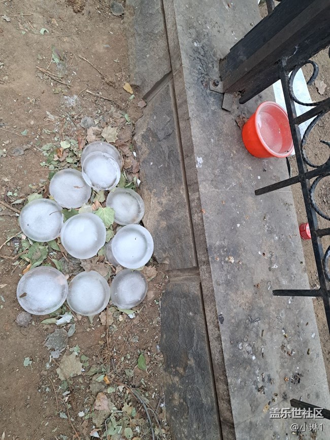 【瑞雪紛飛】雪后