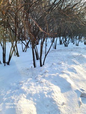 【冬季城市風(fēng)光】+冬天景色