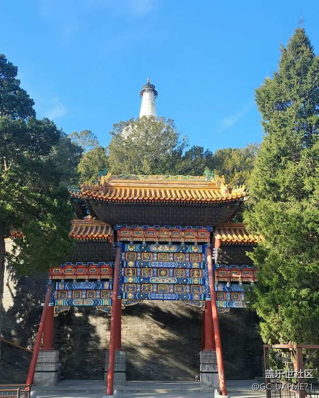 2024-12-03 人與機(jī)老當(dāng)益壯，公園健步走。