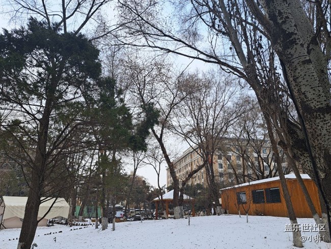 【瑞雪紛飛】雪后