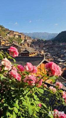 手機(jī)里的風(fēng)景照