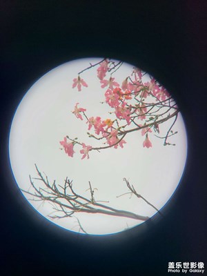 望遠鏡鏡頭隨拍