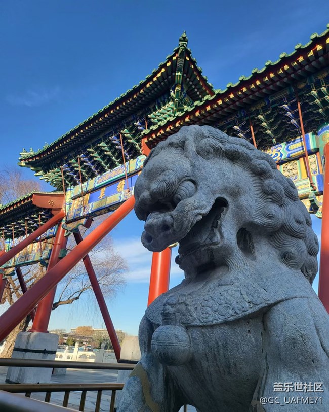 2024-12-03 人與機(jī)老當(dāng)益壯，公園健步走。