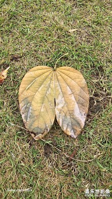 【冬季城市風(fēng)光】+東游記