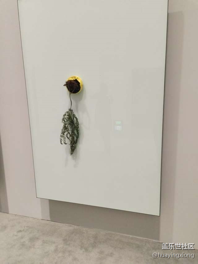 【上海當代藝術博物館線下攝影活動】+回顧