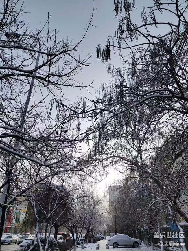 【瑞雪紛飛】冬日雪花飄，小朋友在雪地里撒歡~