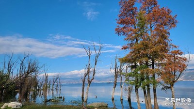 手機(jī)里的風(fēng)景照