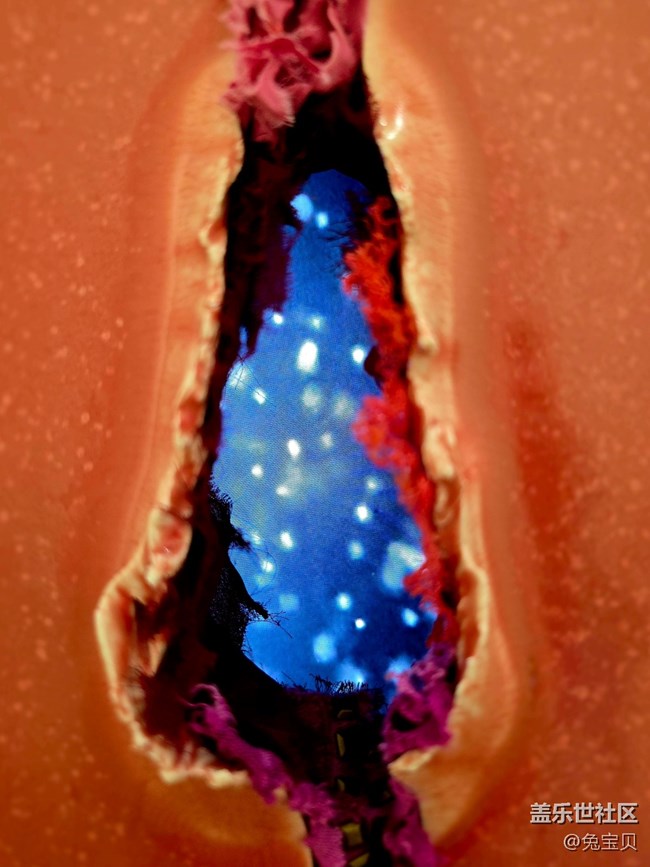 【上海當(dāng)代藝術(shù)博物館線下攝影活動】+活動回顧