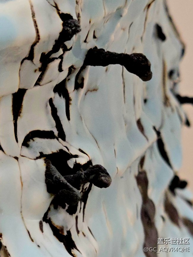 【上海當(dāng)代藝術(shù)博物館線下攝影活動】+藝術(shù)展