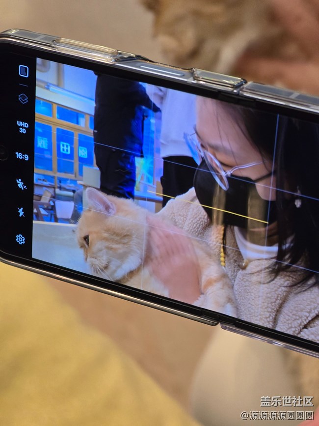 【寵物攝影大賽】武漢星部落線下活動(dòng)總結(jié)帖