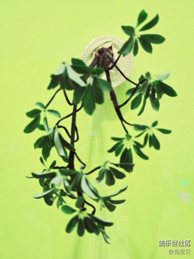 #冬暖熙熙作午晴——藝術(shù)