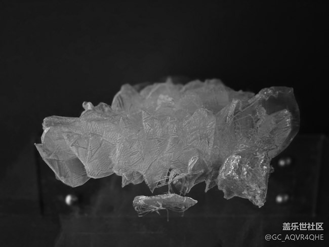 【上海當(dāng)代藝術(shù)博物館線下攝影活動】+藝術(shù)展