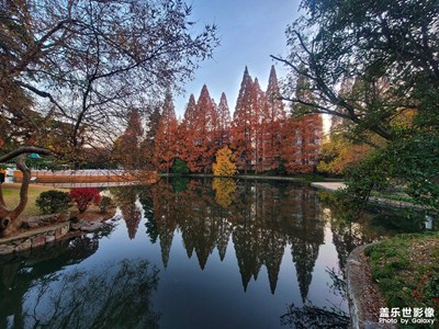 霜葉紅于二月花