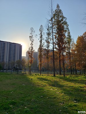 【冬季城市風光】+ 冬天的城市