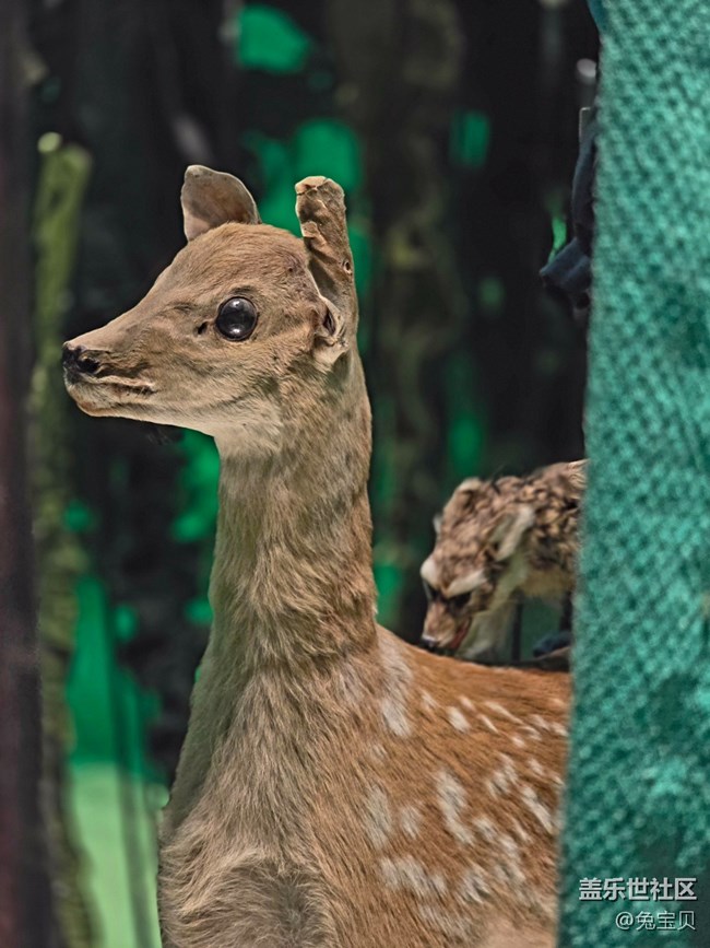 #冬暖熙熙作午晴——藝術(shù)