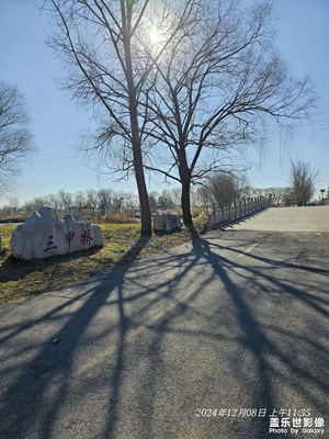 【冬季城市風光】+濕地公園
