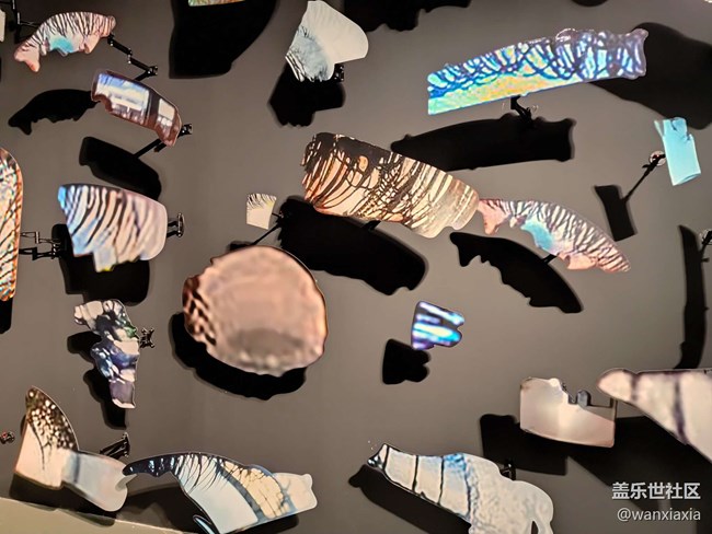 【上海當(dāng)代藝術(shù)博物館線下攝影活動(dòng)】+活動(dòng)回顧貼