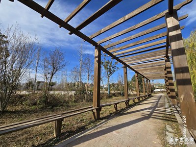 【冬季城市風(fēng)光】從城市回農(nóng)村上班路上的風(fēng)景