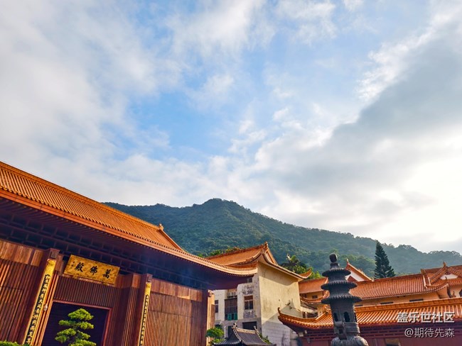 ?【活動(dòng)回顧】仙湖一日游