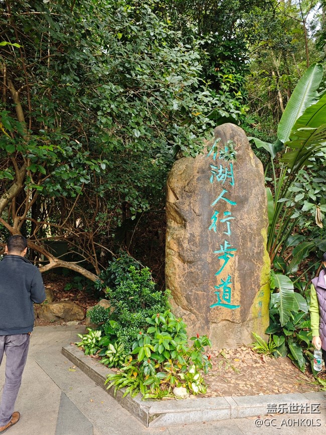 【活動回顧】落羽杉黃了