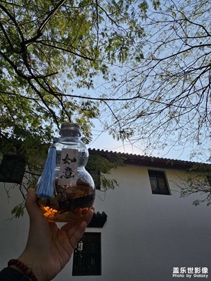 帶著手機(jī)游武漢的歸元寺