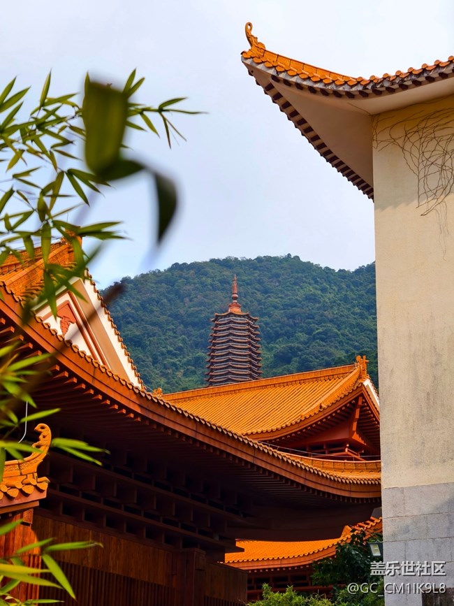 【活動(dòng)回顧】弘法寺祈福