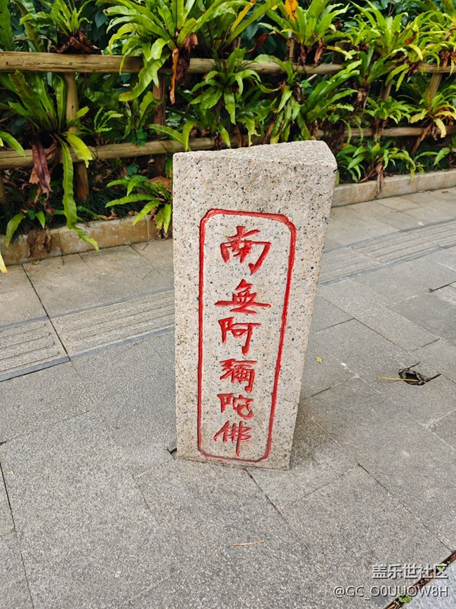 【活動回顧】弘法寺拜佛