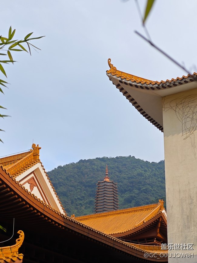 【活動回顧】弘法寺拜佛