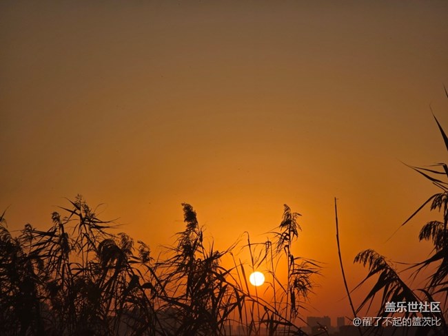 12.1 蘇州星部落??